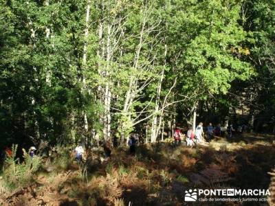 Ruta de senderismo --- Parque Natural Saja-Besaya; rio jarama; rutas cercedilla